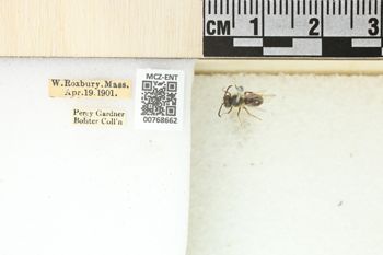 Media type: image;   Entomology 768662 Aspect: Labels